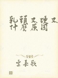 乳头又硬又疼是什么原因