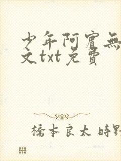 少年阿宾无删全文txt免费