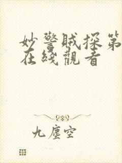 妙警贼探第六季在线观看封面