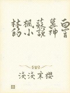 林枫苏慕白穿越的小说神霄剑宗