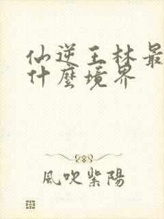 仙逆王林最后是什么境界封面