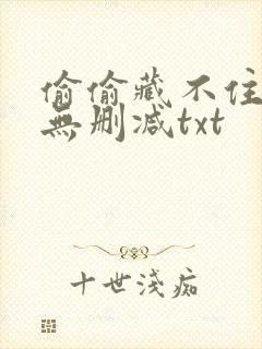 偷偷藏不住番外无删减txt