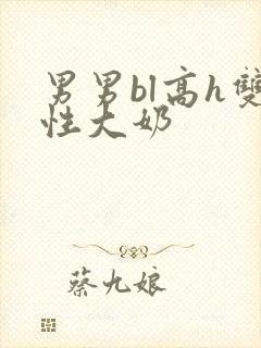 男男bl高h双性大奶封面