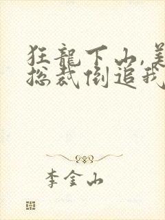 狂龙下山,美女总裁倒追我全本免费下载