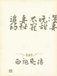 追妻不晚:墨少的秘宠甜妻