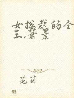 女总裁的全能兵王,萧晨