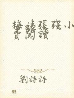 梅姨张强小城免费阅读