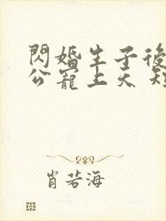 闪婚生子后被老公宠上天 短剧全集封面