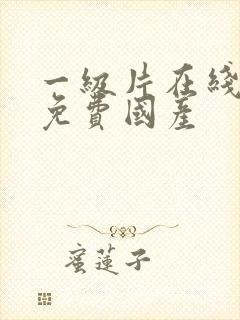 一级片在线观看免费国产