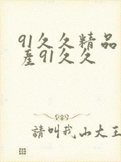 91久久精品国产91久久封面