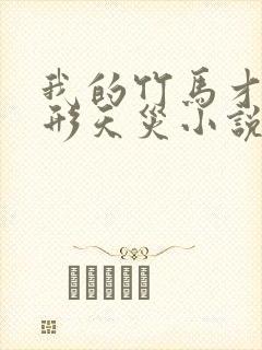 我的竹马才是人形天灾小说