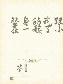 替身的我跟正主在一起了小说封面