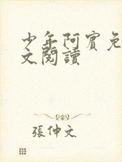 少年阿宾免费全文阅读封面