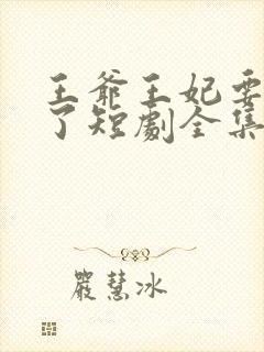 王爷王妃要和离了短剧全集