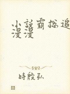 小说霸总追妻路漫漫