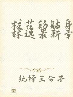 校花的贴身高手林逸最新章节封面