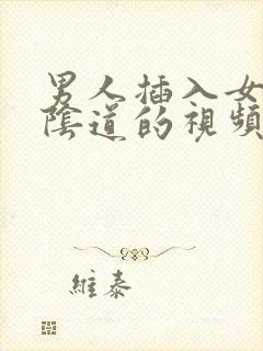 男人插入女人的阴道的视频