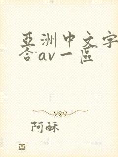 亚洲中文字幕综合av一区