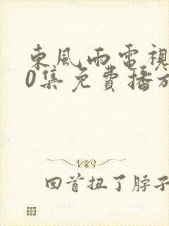 东风雨电视剧40集免费播放在线观看