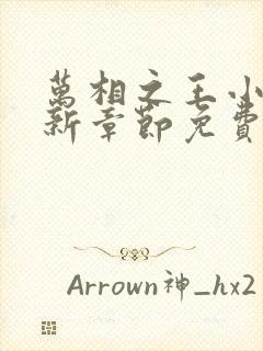 万相之王小说最新章节免费观看封面