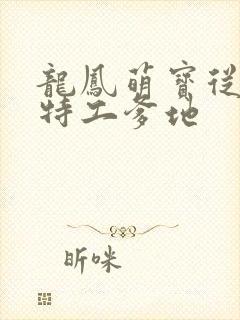 龙凤萌宝从天降特工爹地封面