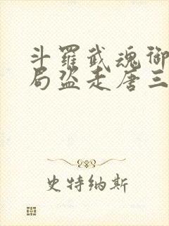 斗罗武魂御兽开局盗走唐三妈封面