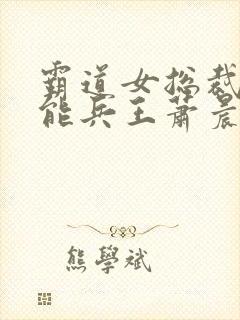 霸道女总裁的全能兵王萧晨