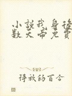 小说我身后有无数天帝免费阅读