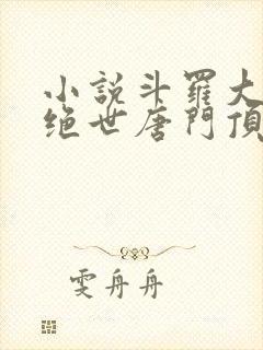 小说斗罗大陆2绝世唐门顶点