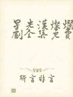 星光汉灿烂电视剧全集免费