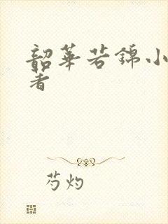 韶华若锦小说原著