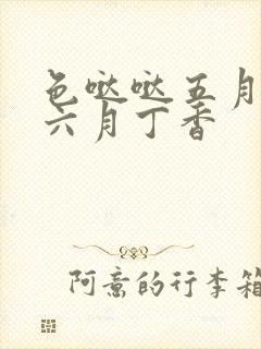 色哒哒五月婷婷六月丁香封面