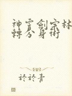 神霄剑宗林枫九转分身术封面