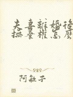 夫妻离婚后小孩抚养权怎么判定封面