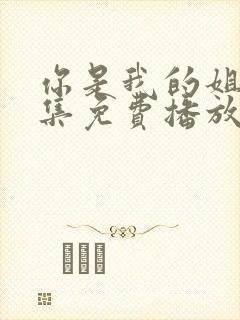 你是我的姐妹全集免费播放电视剧封面