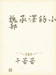 魏承泽的小说全部