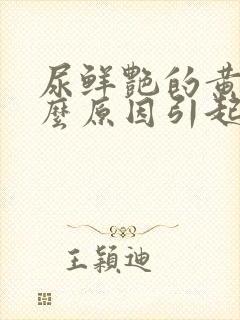 尿鲜艳的黄是什么原因引起的封面