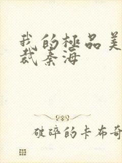 我的极品美女总裁秦海