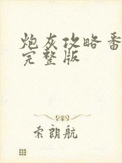 炮灰攻略番外篇完整版