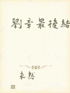 刘章最后结局封面