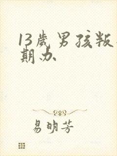 13岁男孩叛逆期办