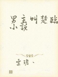 男主叫楚临渊的小说
