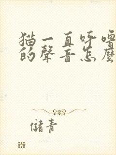 猫一直呼噜呼噜的声音怎么回事封面