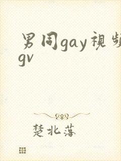 男同gay视频gv