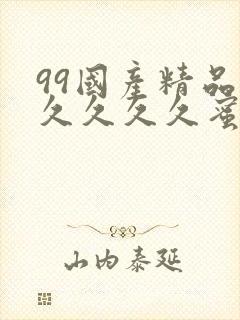 99国产精品久久久久久蜜月