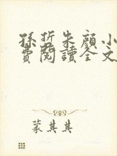 孙哲朱颜小说免费阅读全文最新章节封面