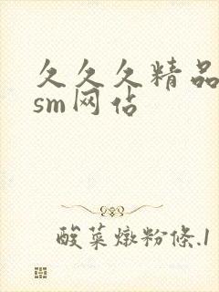 久久久精品国产sm网站