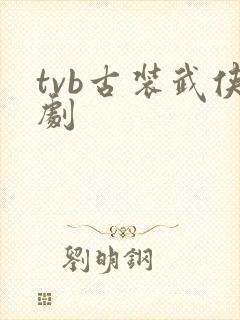 tvb古装武侠剧