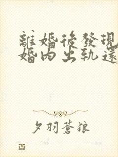 离婚后发现丈夫婚内出轨还有孩子封面