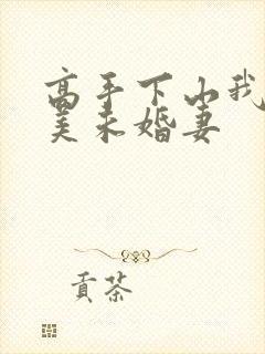 高手下山我的绝美未婚妻